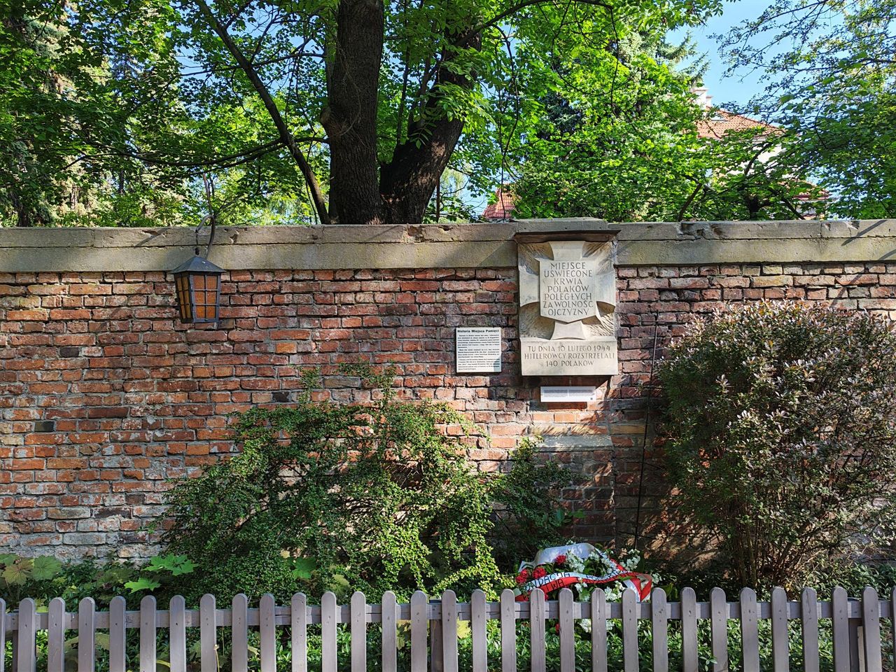 Zdjęcia zrobione Honorem 600 w ciągu dnia