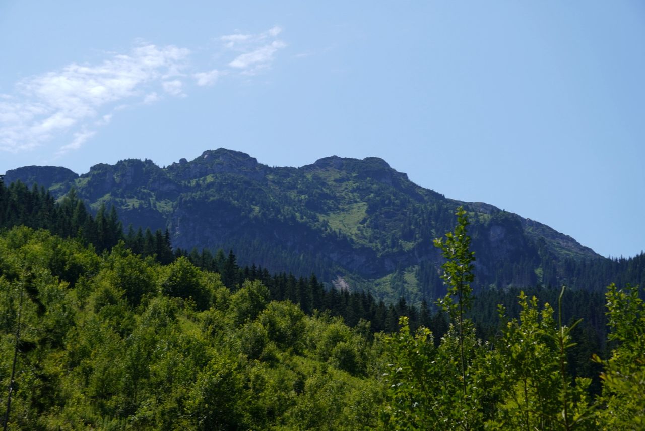 Dolina Lejowa