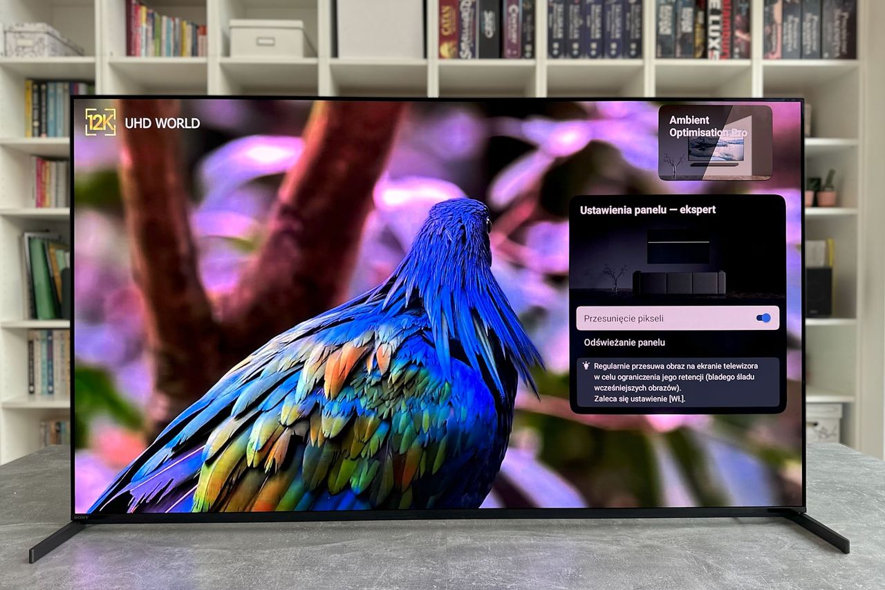 Sony Bravia XR-55A95L - ustawienia zaawansowane 3