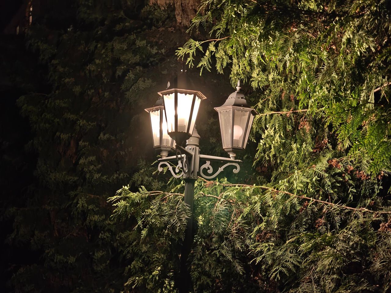 Przykładowe zdjęcie nocne z aparatu tele