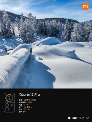 Xiaomi 12 Pro