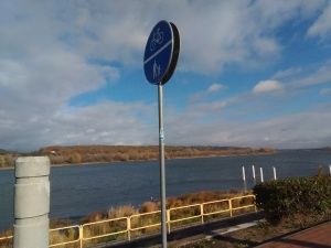 Asus Zenfone 3 aparat przedni