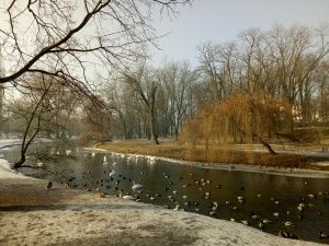Xperia XA Ultra aparat główny