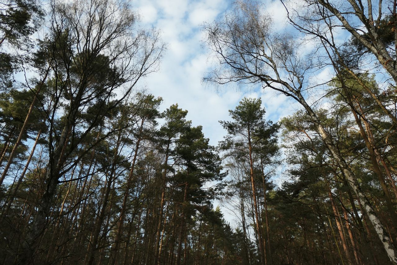 Panasonic Lumix TZ300