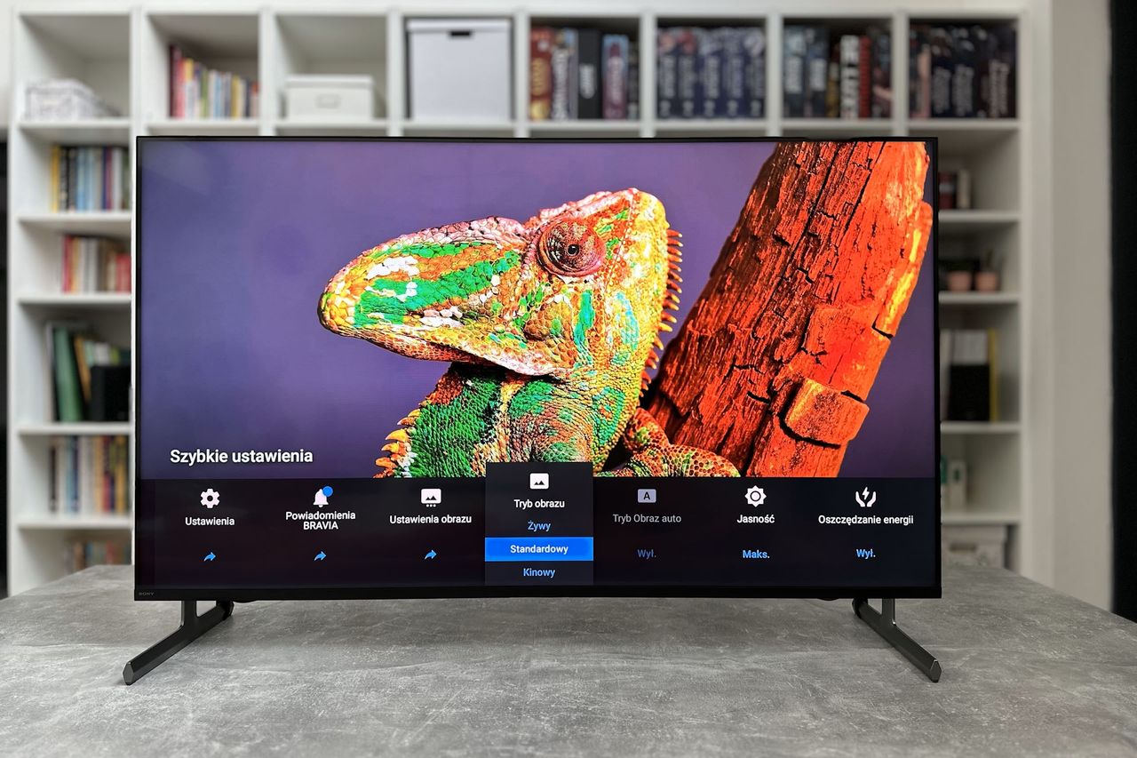 Sony KD-55X85L - ustawienia obrazu 1