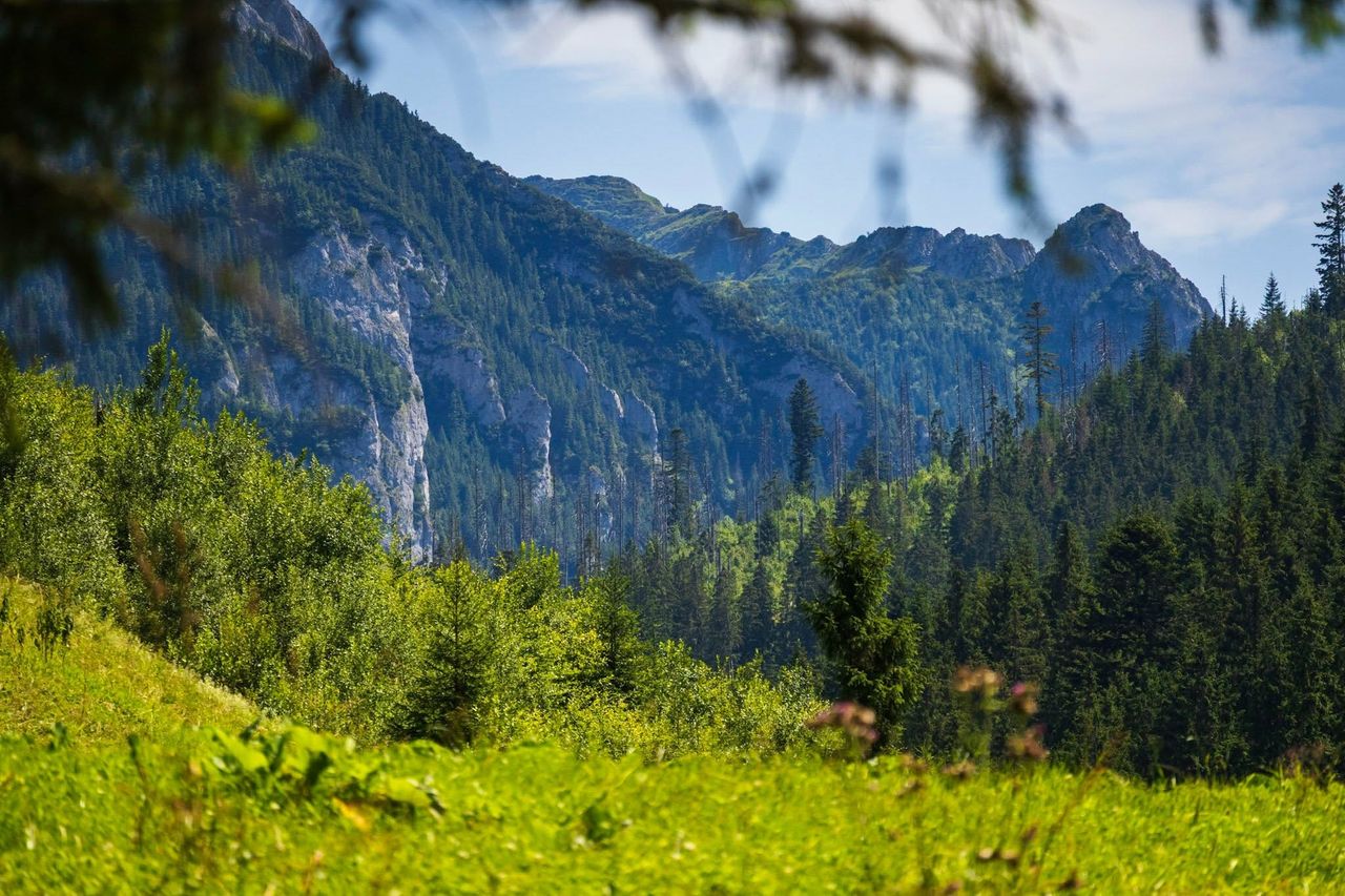 Dolina Lejowa - widok na Tatry