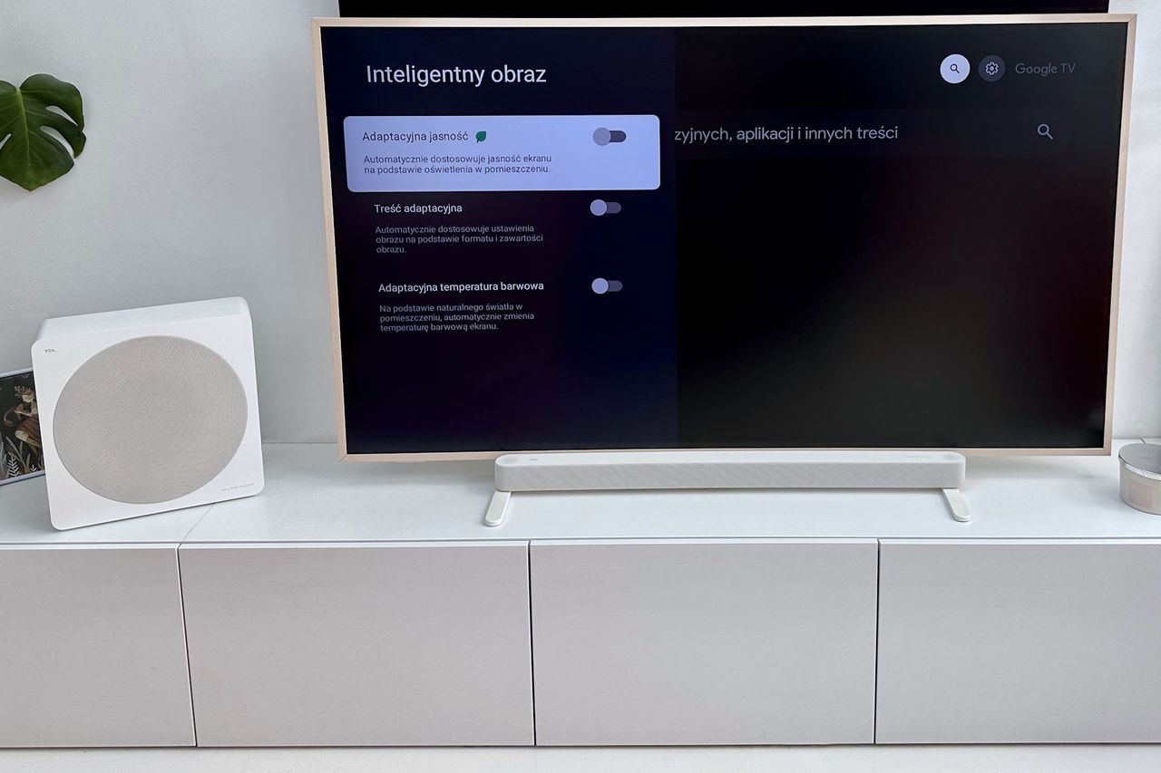 TCL NXTFrame A300 Pro - ustawienia Google TV - obraz