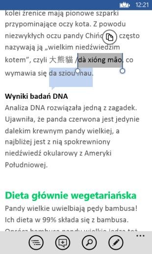 Obraz