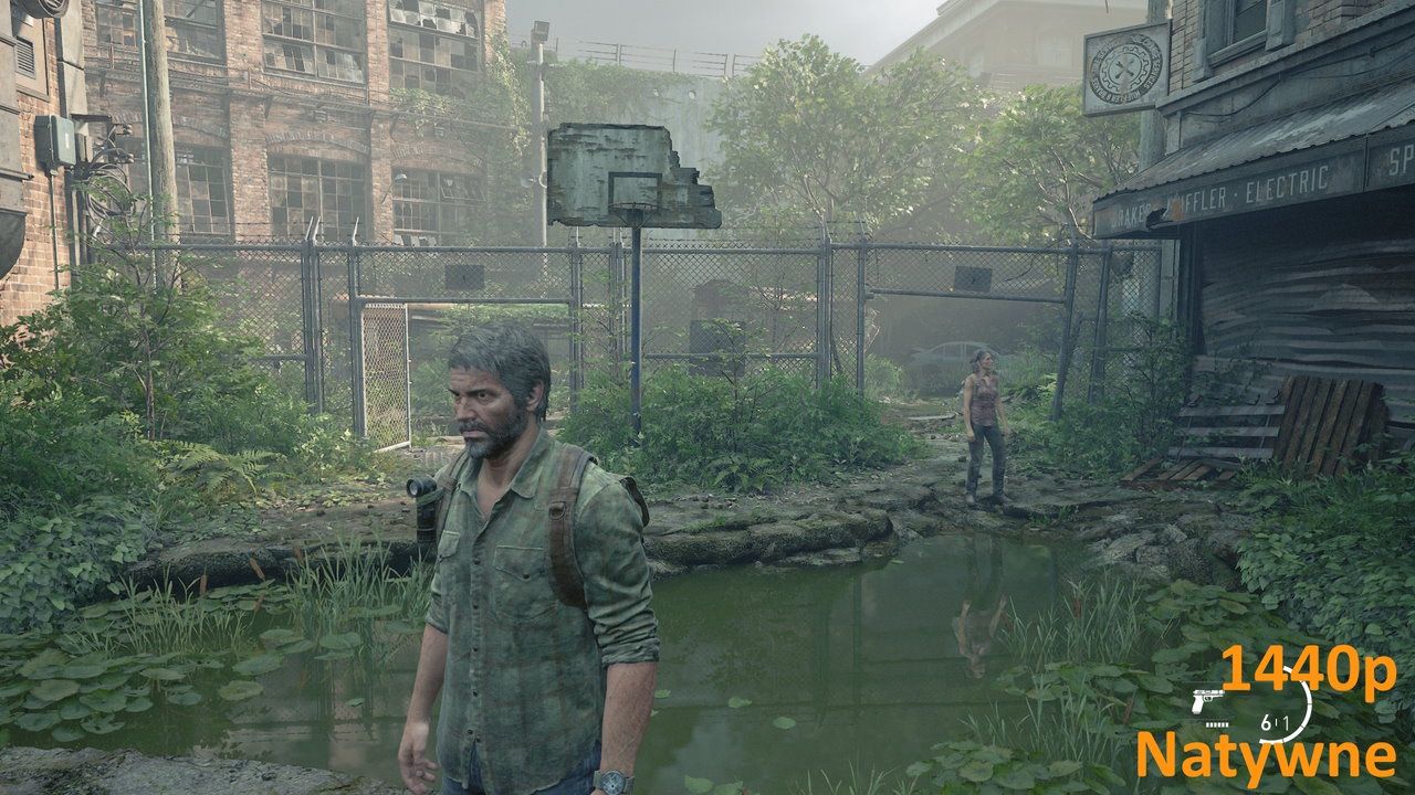 The Last of Us (PC) - natywne QHD