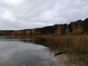 Asus Zenfone 3 aprat główny
