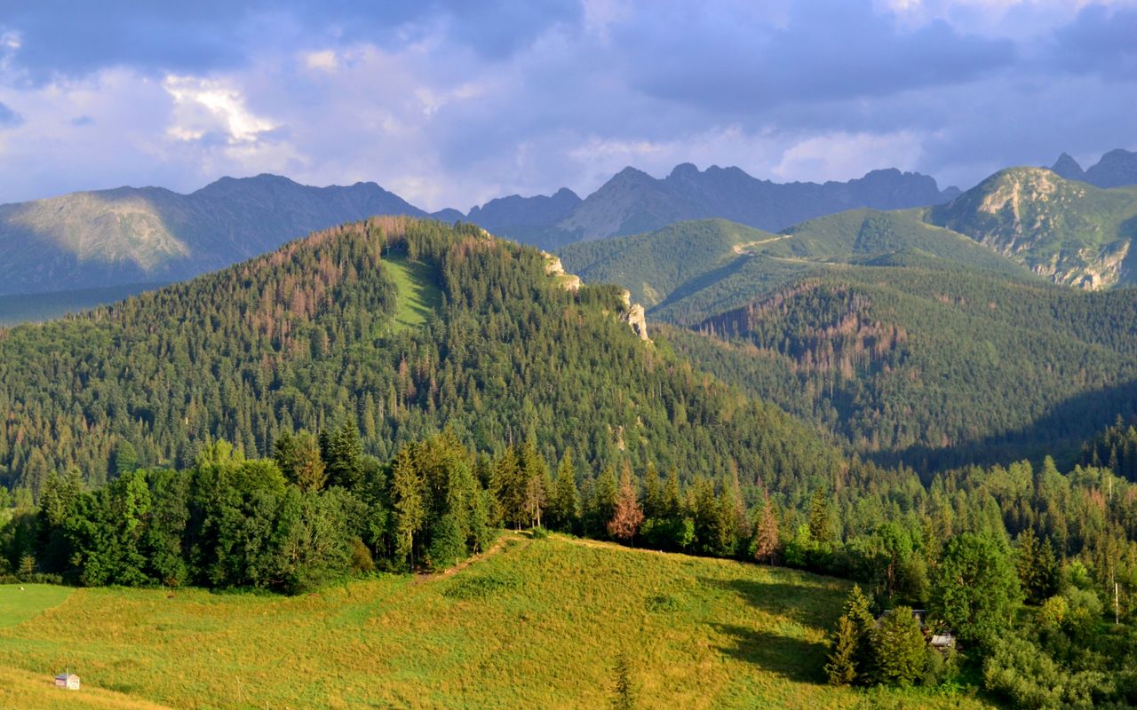 Antałówka - widok na Nosal i Tatry Wysokie