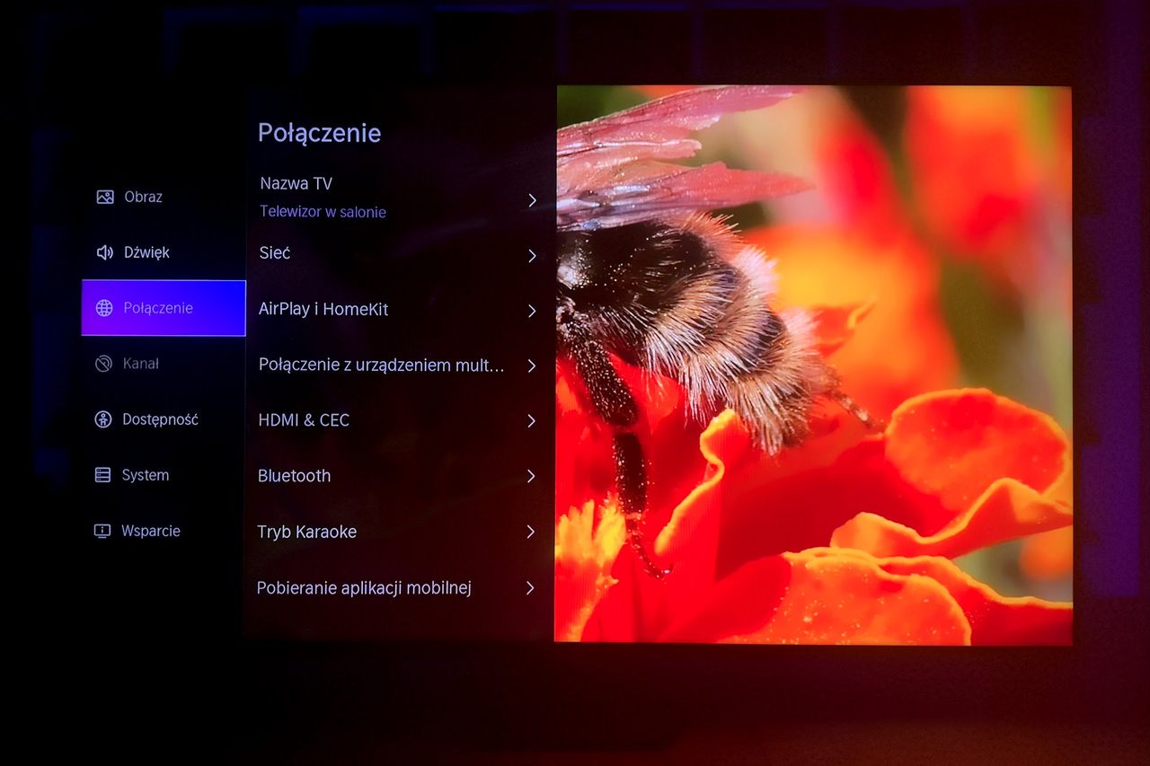 Hisense MiniLED U8Q - ustawienia połączeń
