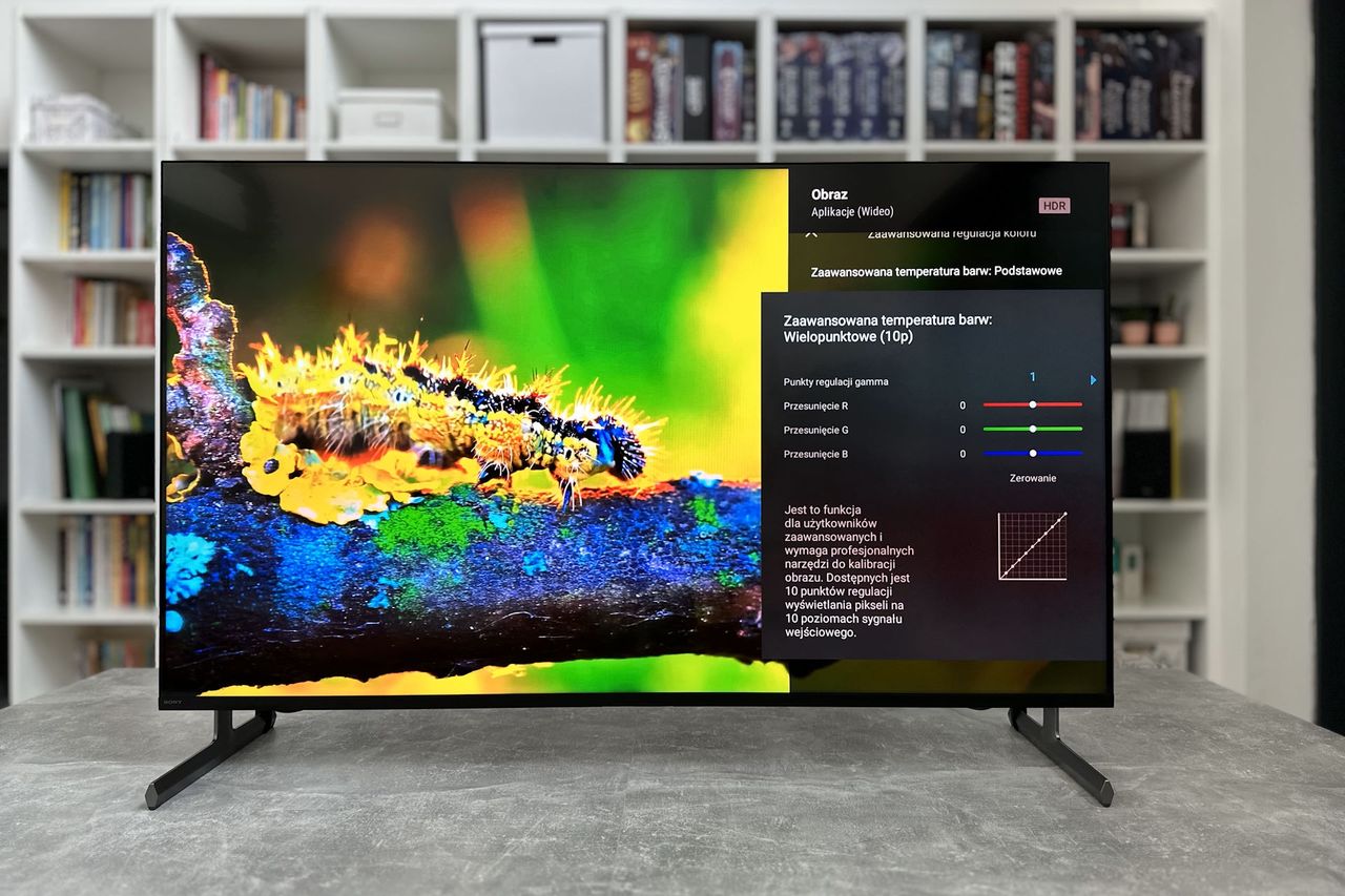 Sony KD-55X85L - ustawienia dźwięku