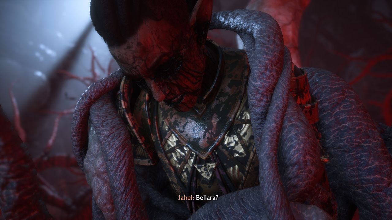 Dragon Age: Straż Zasłony