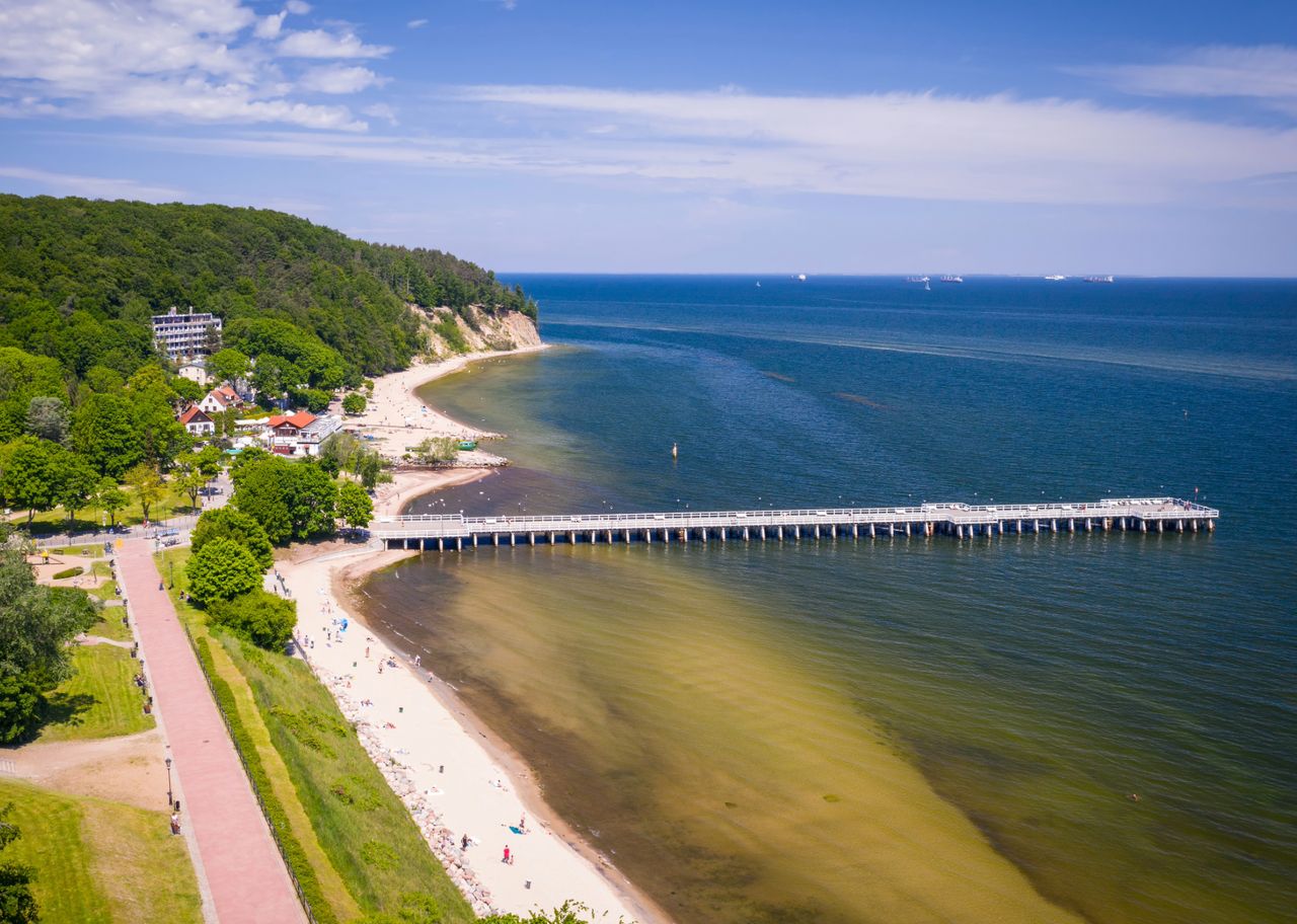 Klif Gdynia-Orłowo