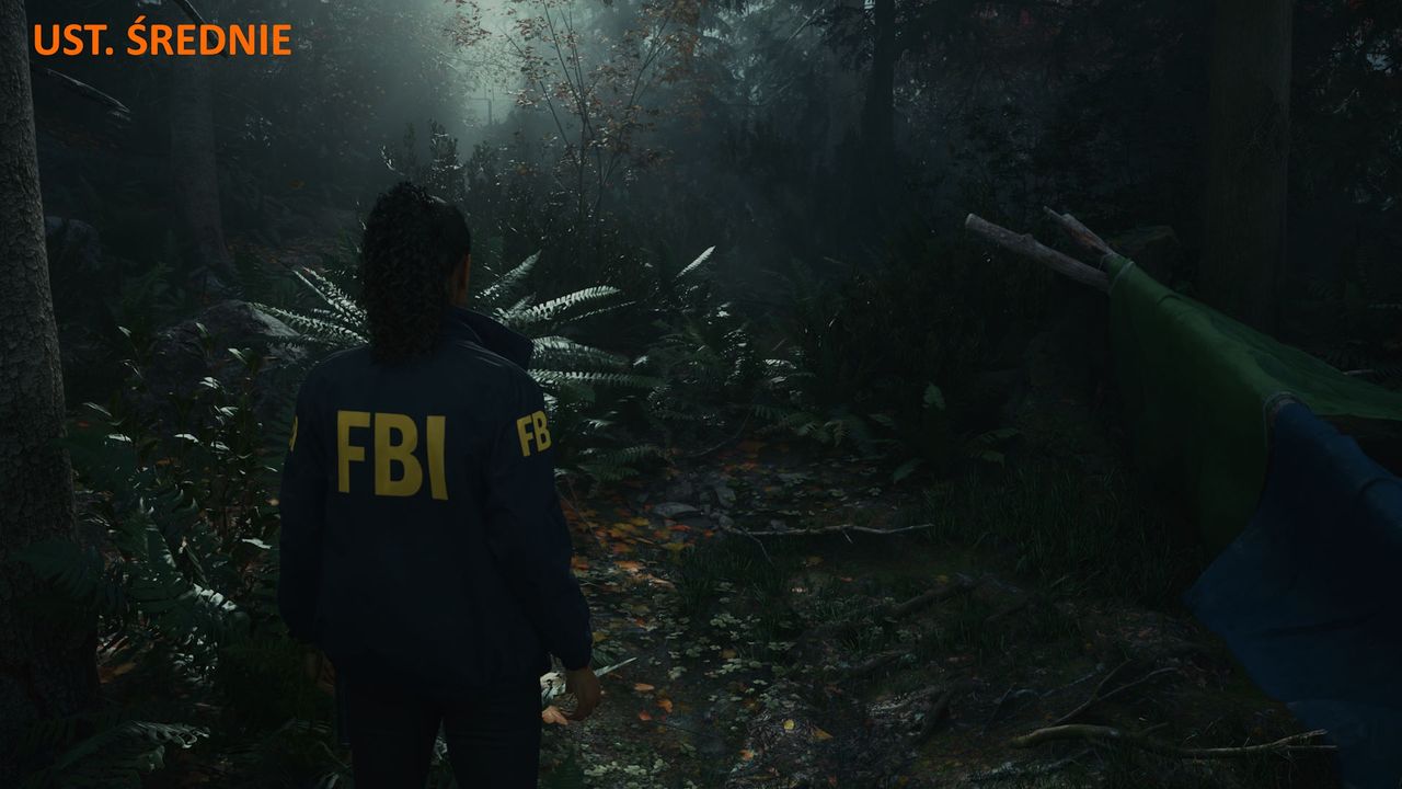 Alan Wake 2 - ustawienia średnie 3