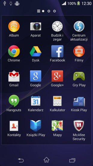 Obraz