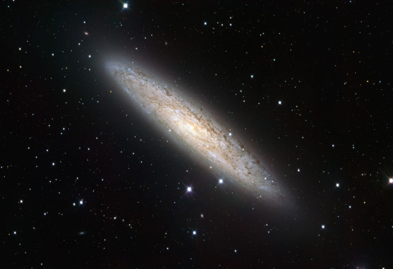Galaktyka NGC 253