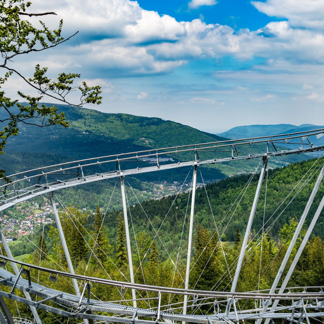 Salamandra Alpine Coaster.