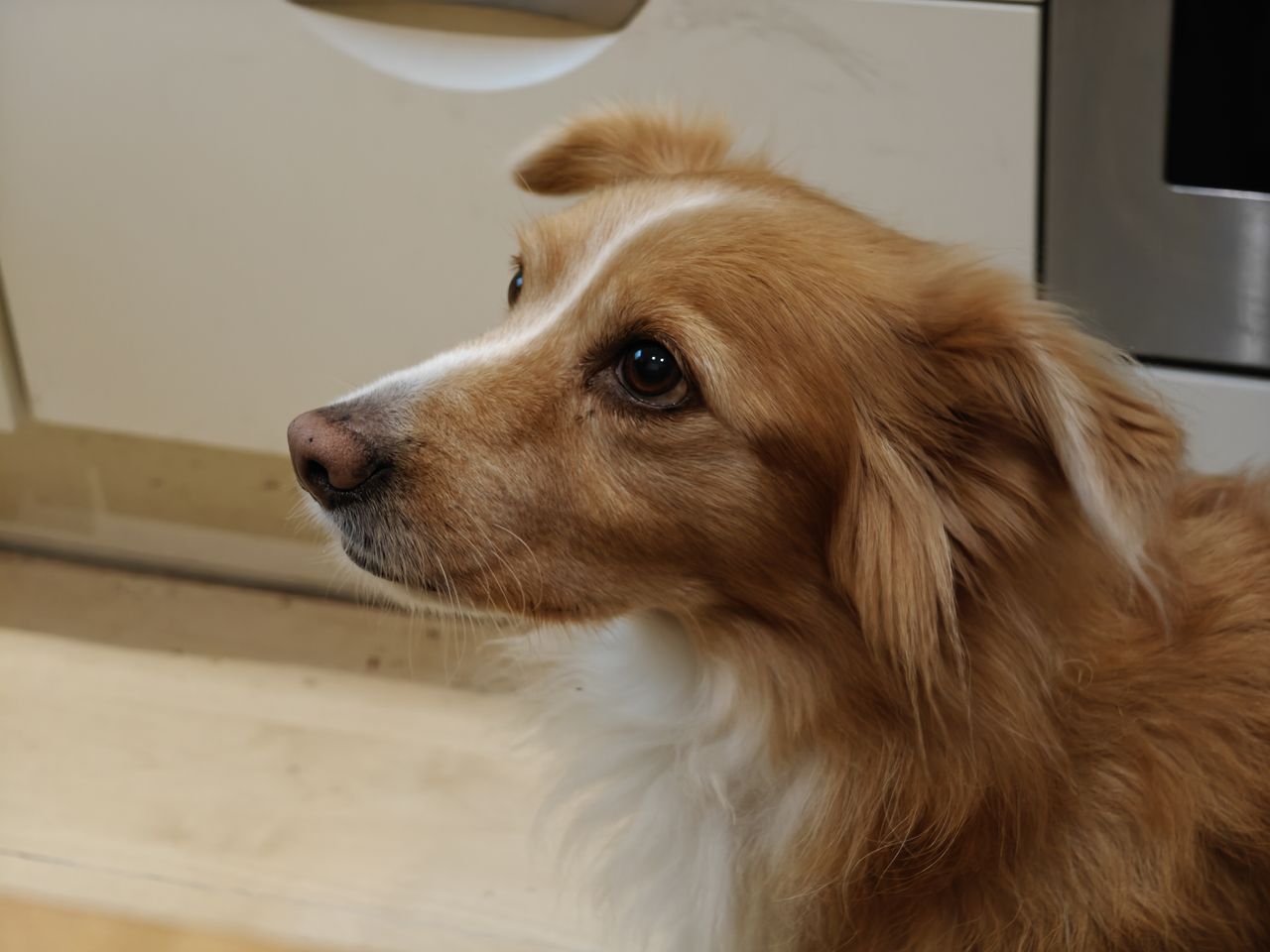 Zdjęcia wykonane OnePlus Open