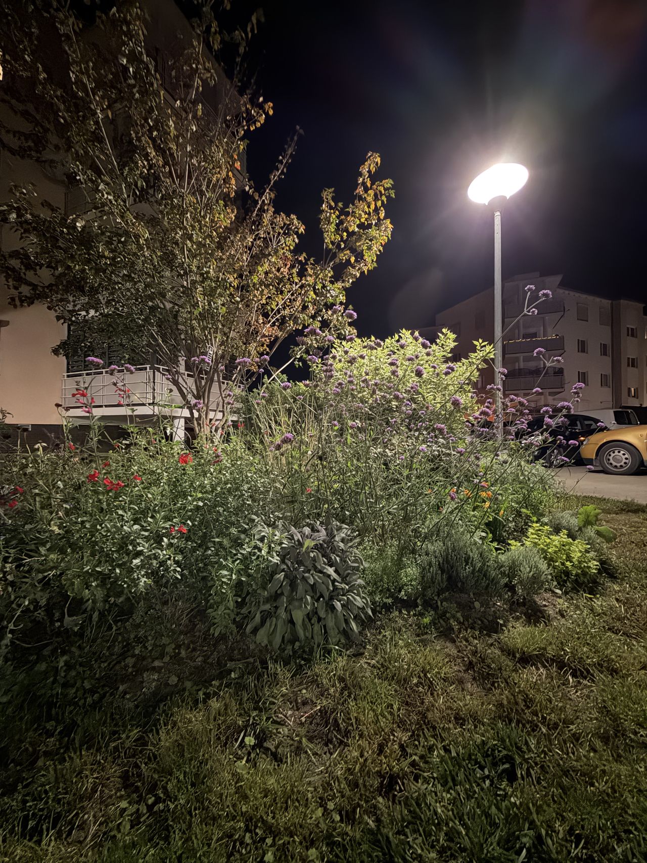 iPhone 17 test