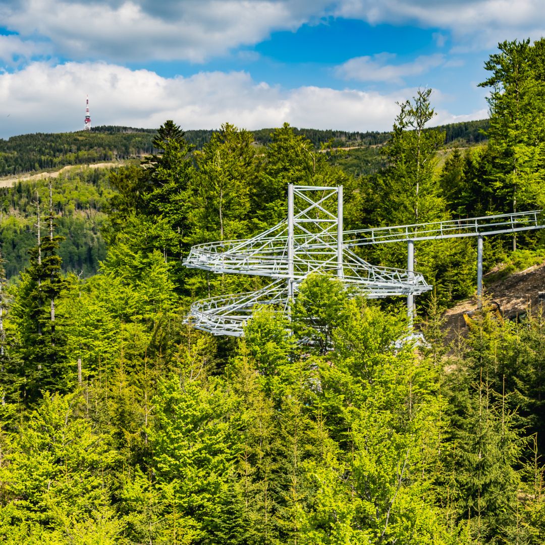 Salamandra Alpine Coaster.