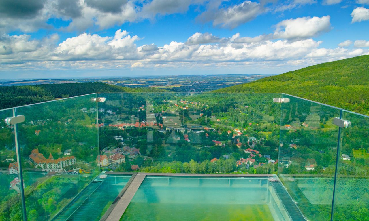 Szklany taras nad drzewami