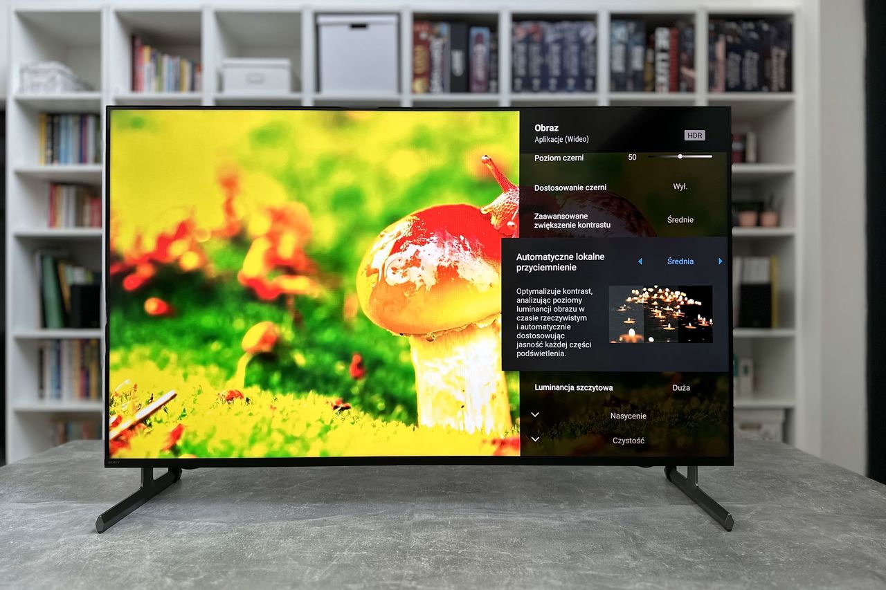 Sony KD-55X85L - ustawienia obrazu 2
