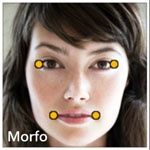 Morfo