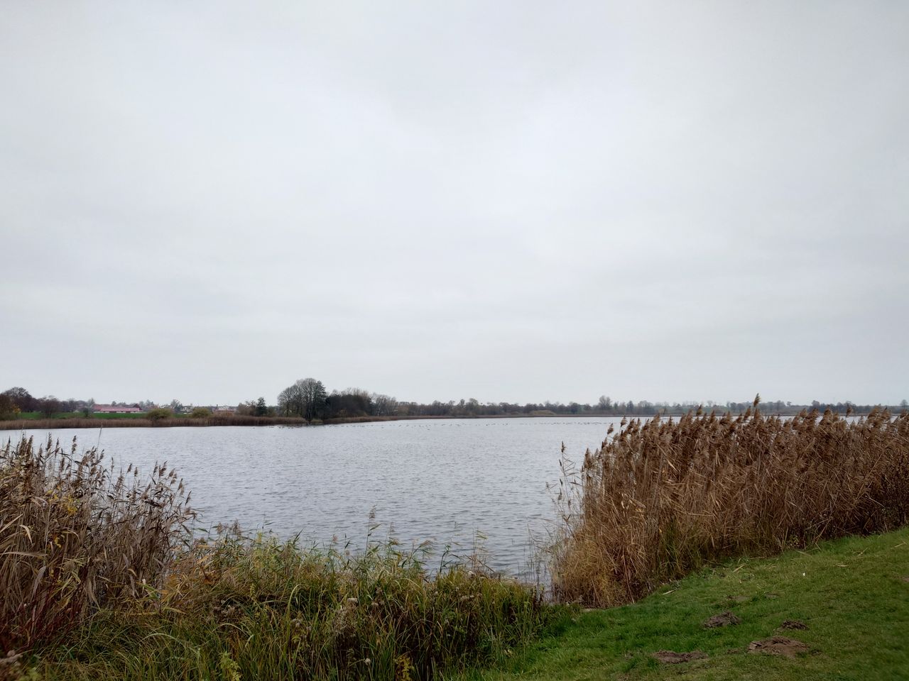 Sony Xperia 5 IV zdjecie