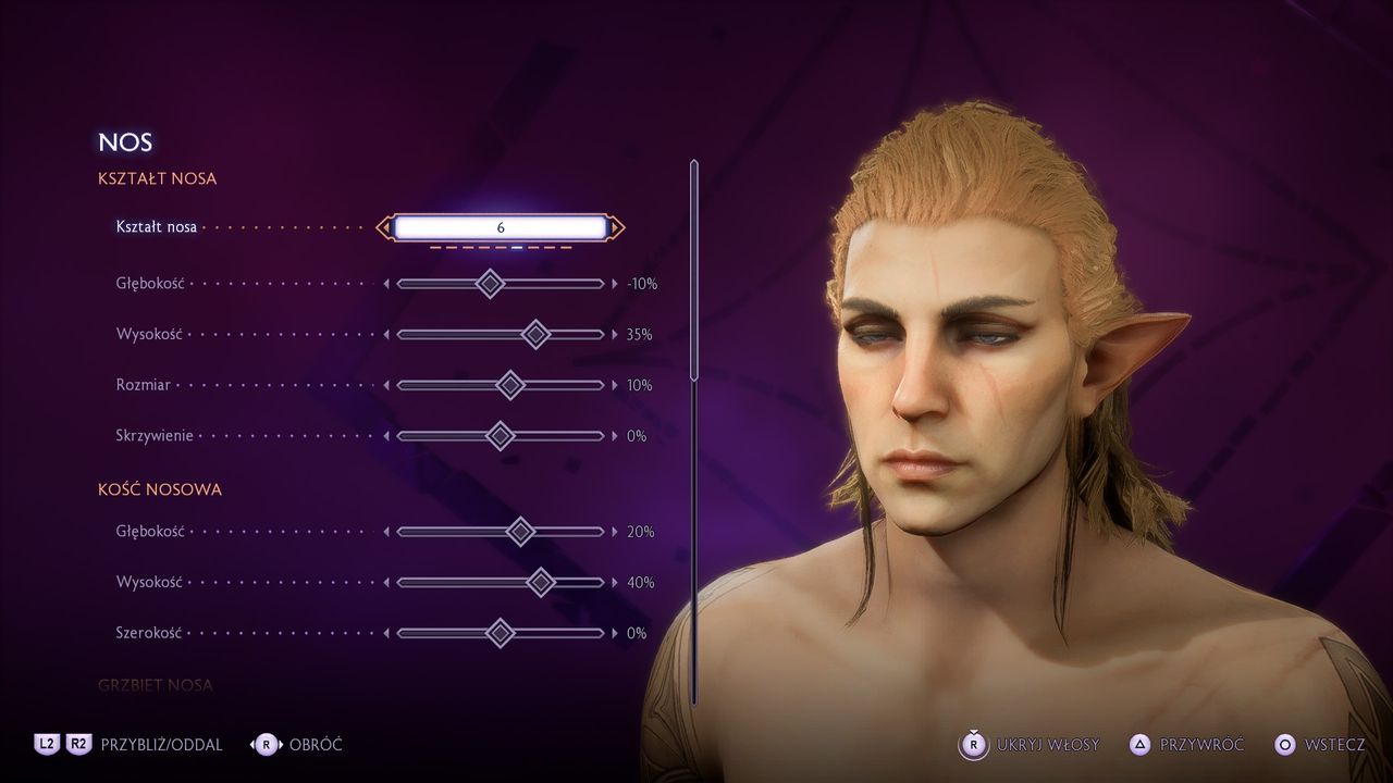 Dragon Age: Straż Zasłony