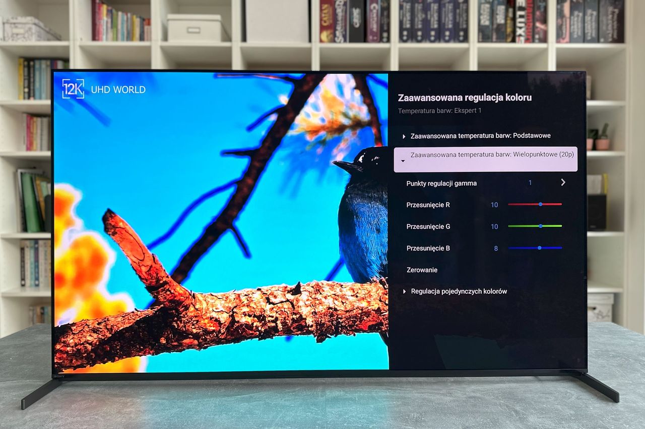 Sony Bravia XR-55A95L - ustawienia zaawansowane 2