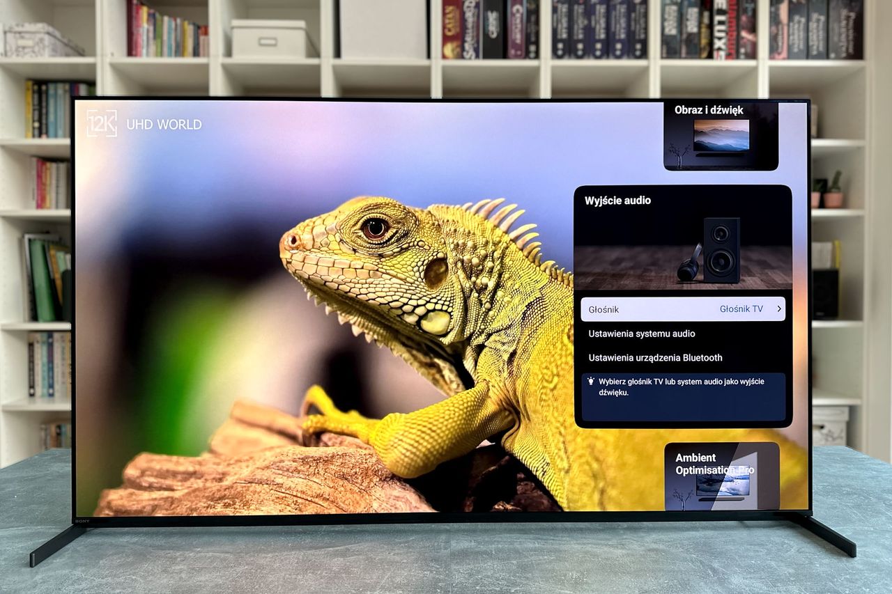 Sony Bravia XR-55A95L - ustawienia podstawowe 2