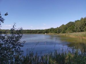 Oppo A72 przykładowe zdjęcie