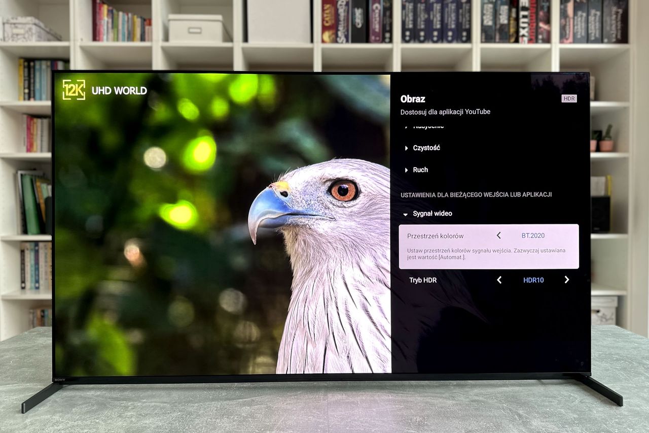 Sony Bravia XR-55A95L - ustawienia zaawansowane 1