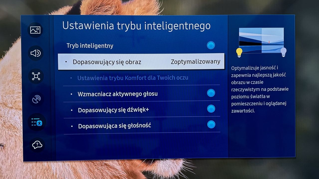 Samsung QLED 65Q77C - ustawienia eco