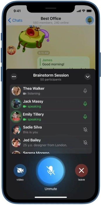 Telegram - wideokonferencja
