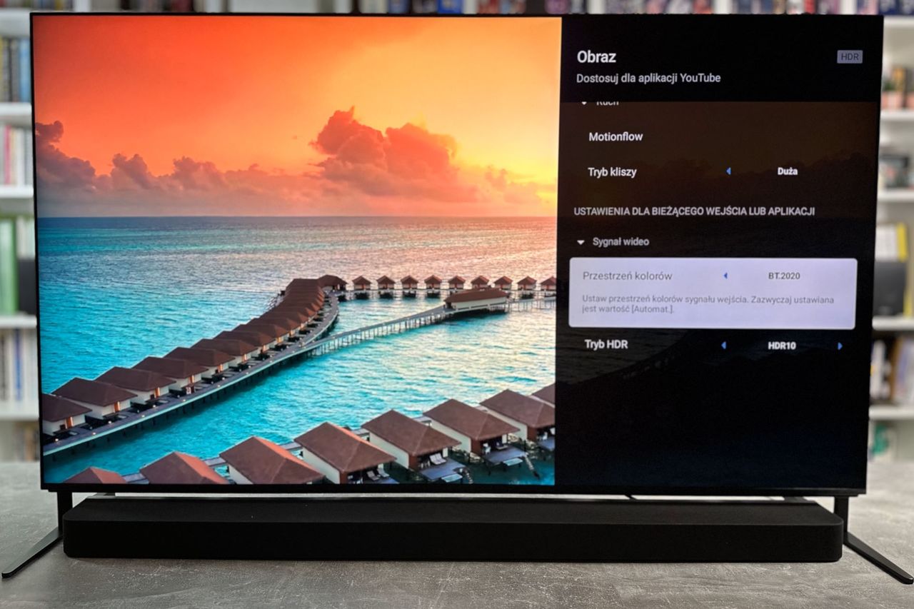 Sony Bravia 9 (65XR90) - ustawienia przestrzeni kolorów bt.2020