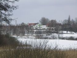 Obraz