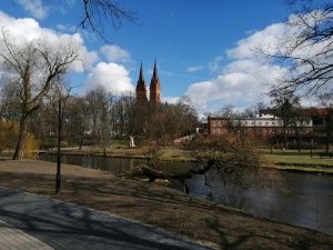 Honor 10 Lite aparat przykładowe zdjęcie