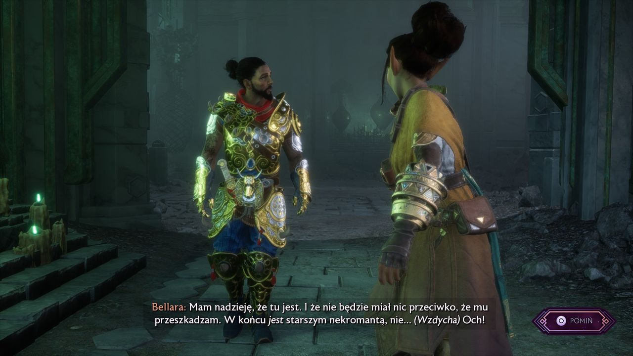 Dragon Age: Straż Zasłony