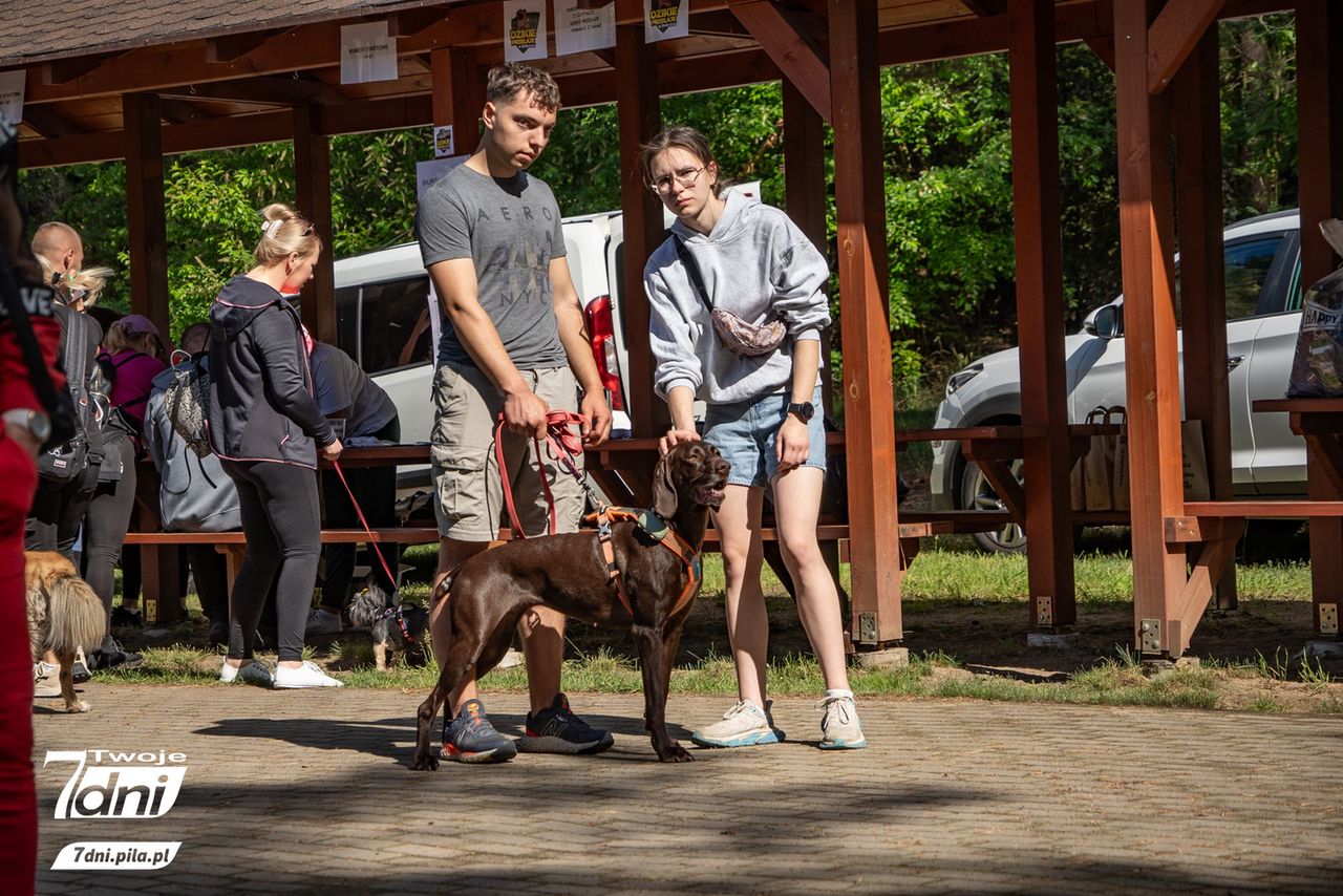 Psi Spacer w Dobrzycy 2025