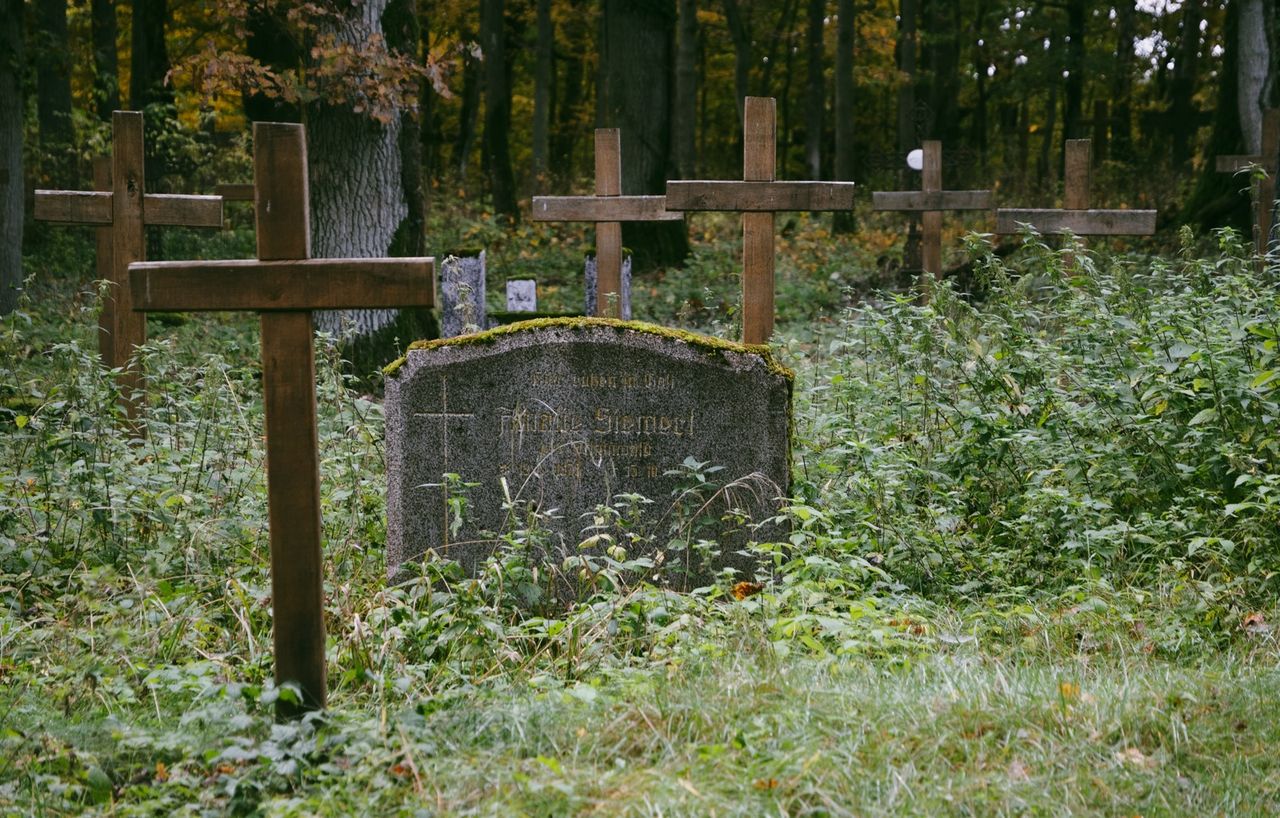 Zabytkowy cmentarz ewangelicki w Pleceminie