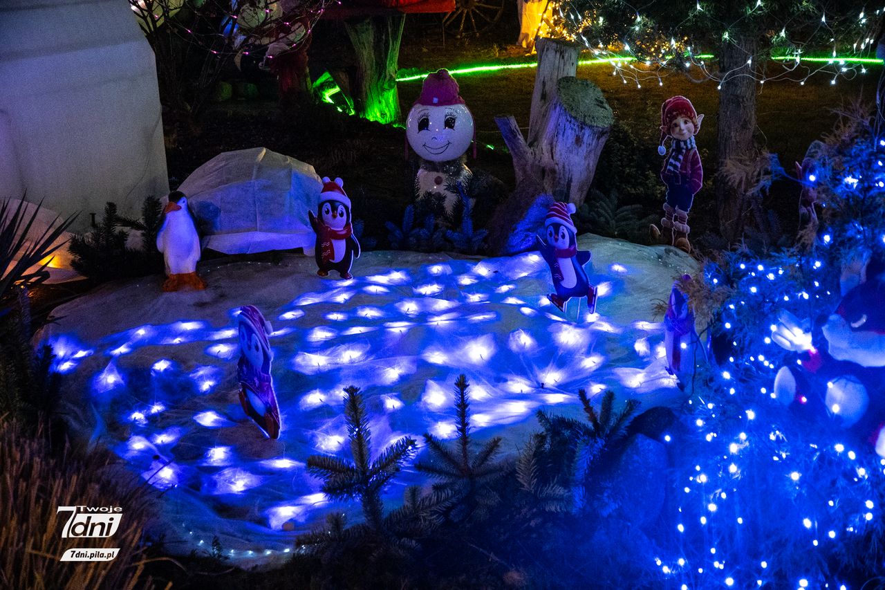 Świąteczne iluminacje