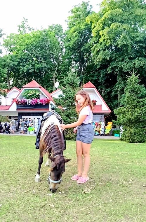 FUNDACJA ELDORADO & KUCYKOMANIA