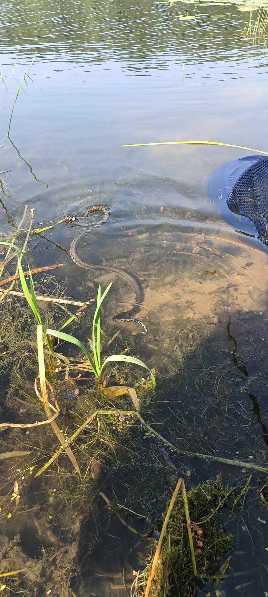 Dzień Dziecka w Soczewce 