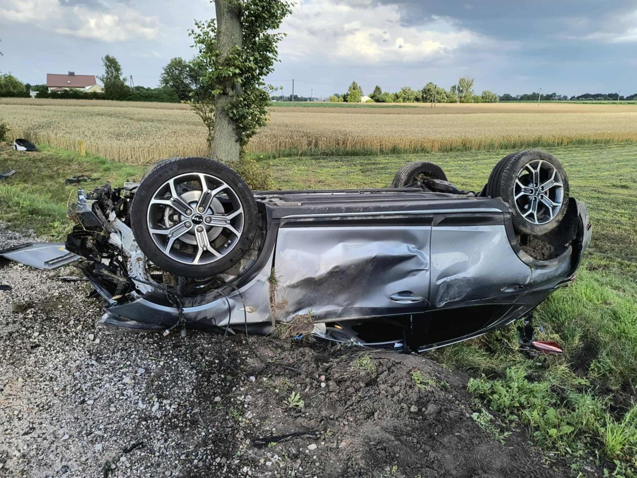 Dachowanie w Tchórzu