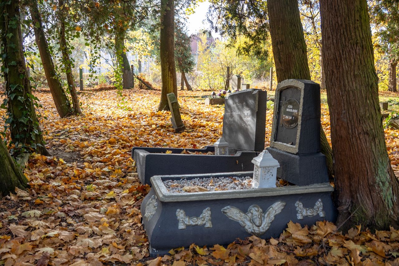 Cmentarz przy al. Powst. Wlkp. w Pile, dawny, stary, Piła