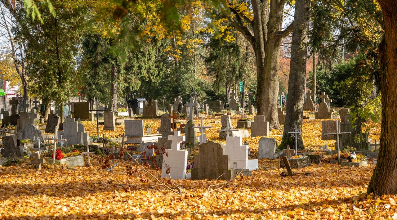 Cmentarz przy al. Powst. Wlkp. w Pile, dawny, stary, Piła