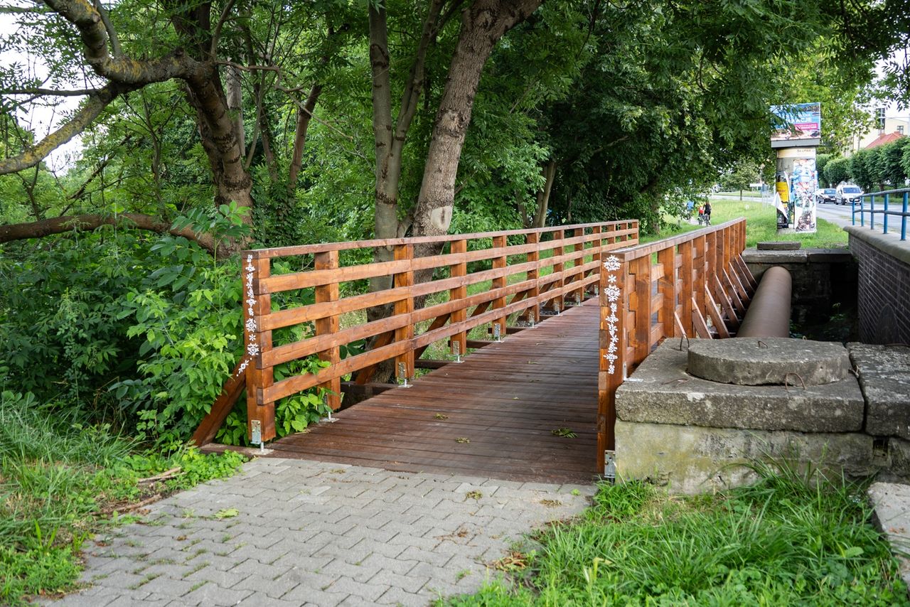 Wągrowiec, mostek, Pałuki